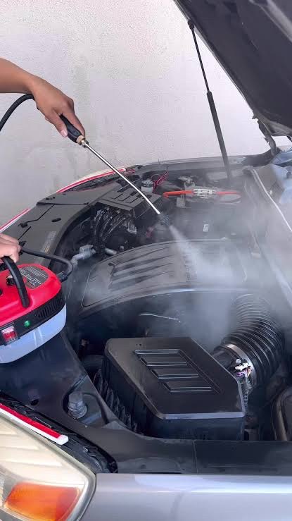 Engine cleaning